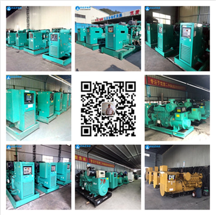 南非發(fā)電機(jī)、非洲發(fā)電機(jī)